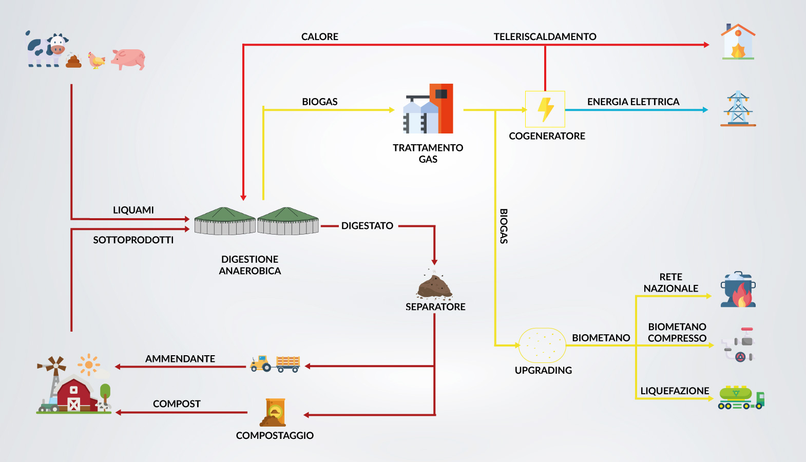 infografica-evoteck